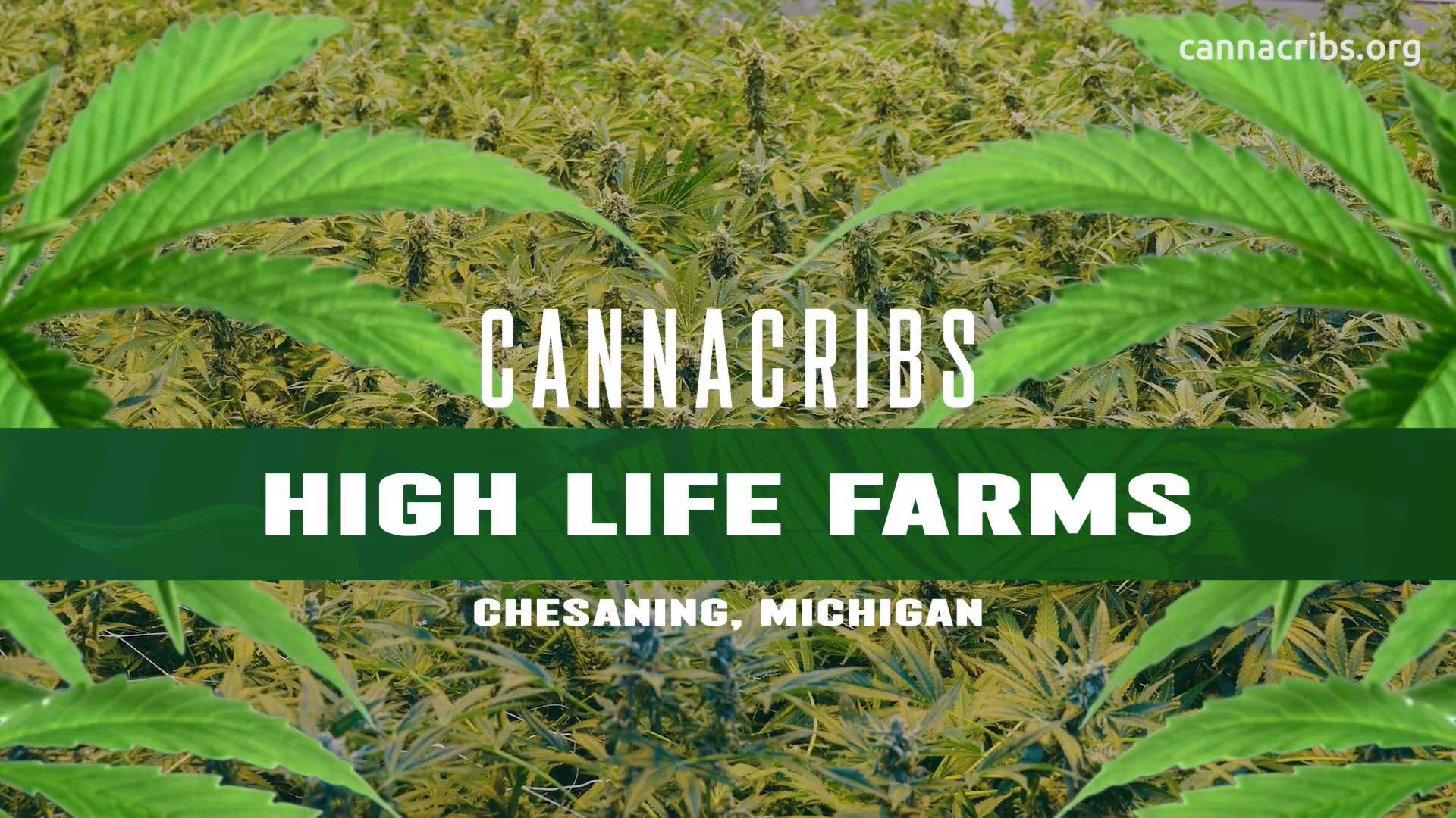High Life Farms on Canna Cribs